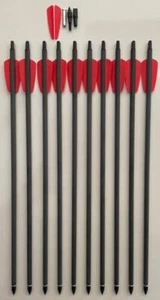 10 pernos de carbono 15" para Cobra RX - 130 lbs pernos de ballesta Ek Archery + accesorios - Imagen 1 de 11