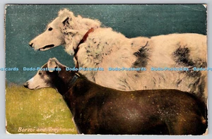 R746845 Barsoi und Windhund alle Arten und Bedingungen von Hunden Tuck Rapholette Gl - Bild 1 von 4