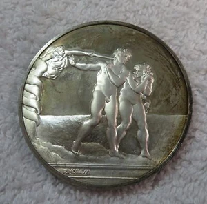 Genio de Miguel Ángel - La expulsión - Medalla de plata - Imagen 1 de 3