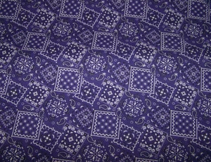 Wet Nose Designs SAFETY BREAK AWAY Dog Collar Dark Purple Bandana Western - Picture 1 of 7