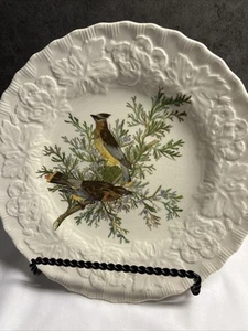 "Plato de cena floral en relieve vintage de 1940 Alfred Meakin Birds of America, 11""" - Imagen 1 de 5