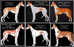 IBIZAN HOUND COUNTED CROSS STITCH PATTERNS - Picture 1 of 11