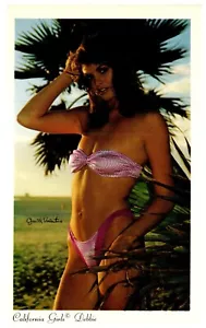 Beautiful Woman Swimsuit c1980 Pinup Cheesecake DEBBIE California Girls Postcard - Picture 1 of 2