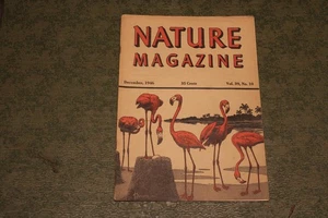 December 1946 Nature Magazine - Flamingos - Picture 1 of 5