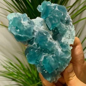 1,79 Pfund natürlicher blau grüner Würfel Fluorit Mineral Kristall Probe/China - Bild 1 von 16