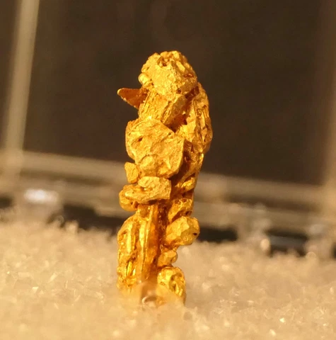 N California Large GOLD Dendrite Nugget 14mm GORGEOUS SPECIMEN Donald Dickey Cover