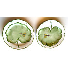 Deux assiettes San Maco guêpe/abeille à feuilles vertes, maison fabriquées en Italie, bord pétoncle 8" 