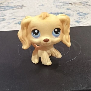 Littlest Pet Shop Authentic # 91 hellbraun gelb creme Cocker Spaniel blaue Augen LPS - Bild 1 von 4