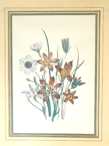 3 Large Framed Prints, Coloured Flower Bouquet, Classic Floral & Botanical Art.