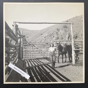 Fotografia vintage cavalli da cowgirl Wyoming Fritz Henle anni '40 bianco e nero - Foto 1 di 2