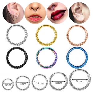 1PC Stainless Seamless Twist Hinged Segment Hoop Ring Lip Ear Nose Body Piercing - Picture 1 of 12