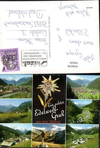 716524 Material AK echtes Edelweiß Zillertal Zell am Ziller Mayrhofen Wegkreuz - Bild 1 von 1