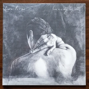 Low Roar - Once In A Long Long While - Transparent Smoke and Green 2LP Vinyl New - Picture 1 of 3