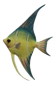 Tropischer Engel Fisch Tiki Strand Bad Ozean Kinderwand 6 Zoll TFW30 - Bild 1 von 1