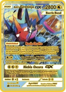 Pokemon Ash's Greninja GX HP 2800 Metal Collectable Cards VMAX EX GX MEGA - Picture 1 of 1