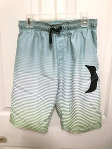 Boy's Hurley Blue Green Ombre Striped Swim Trunks Board Shorts Size Large - Picture 1 of 5