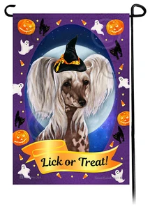 Halloween Garden Flag - Hairless Chinese Crested - Picture 1 of 1