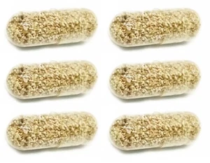 MOINA MACROCOPA EGGS WATER FLEA LIVE FOOD BETTA GUPPY FISH Food 6 capsule - Picture 1 of 6