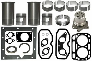 Kit de reparación del motor 12 uds. IHC Mc Cormick DLD2 D212 D214 D215 Motor D66 (2 cil.) - Imagen 1 de 1