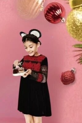 H&M Studio Holiday Collection Girl Lace Embroidered Velvet Dress sz 4-5 Years - Image 1 of 4