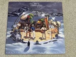 The Beach Boys Vinyl Record Keepin The Summer Alive FZ 36283 Vintage Music Album - Picture 1 of 6