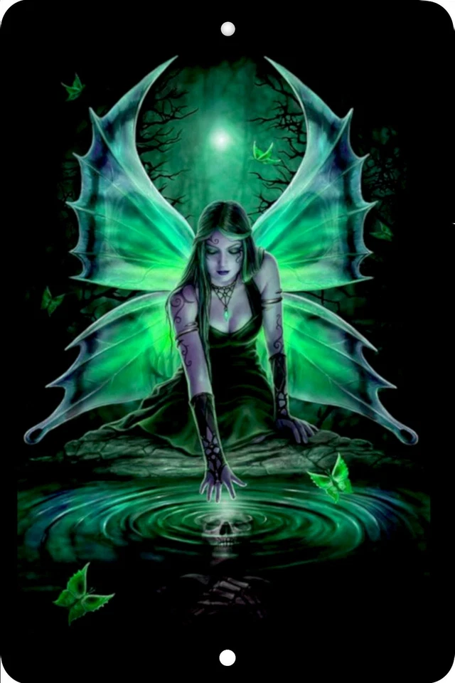 Фея, день рождения, домашний знак, домашний декор металлический алюминий, США, черный - Изображение 1 из 1