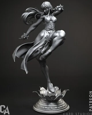 Martial Heroine Resin Model Kit 3D Printed – Unpainted Fan Art Figure 1/6 - Immagine 1 di 4