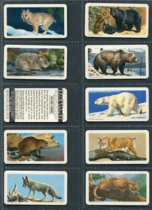 BROOKE BOND CANADA - PICK YOUR CARD - ANIMALS (ROLAND/ROLLAND),BIRDS,BUTTERFLIES