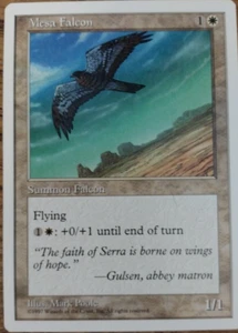 magic the gathering mesa falcon near mint condition - Picture 1 of 1