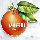 Dunedin Orange Sign - Citrus Charm Symbol of Dunedin, Florida