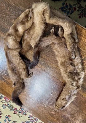 Vintage Mink Stole/Scarf/Wrap 3 Pelts - Silky Soft! Great Condition - Image 1 of 3