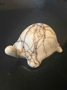 Vintage Navajo Pottery Horse Hair Turtle Artist Signed V.T. Dated June 2000 - Picture 1 of 8