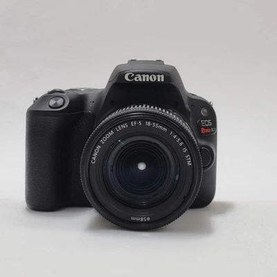 Cámara digital Canon EOS Rebel SL2 24,2 MP SLR DSLR con lente de 18-55 mm Foto 1 de 4