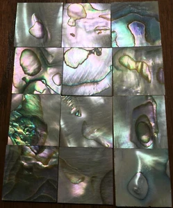 28.5 grams (12pcs) Abalone Fretboard Inlay NOS Gibson Kalamazoo Factory Lot-6 - Picture 1 of 5