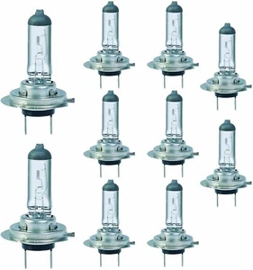 10 x H7 Bulbs (477/499) 12v 55W PX26d Car headlight Halogen Bulb - New Branded - Picture 1 of 4