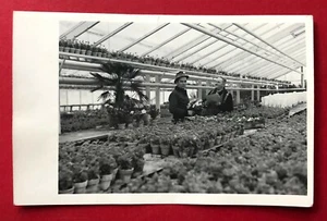Privat Foto AK Berufe 1970 Gärtner im Gewächshaus Typen   ( 87068 - Bild 1 von 2