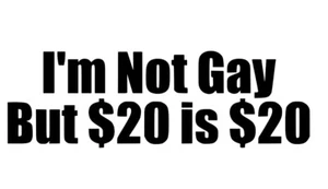 Car window decal truck outdoor sticker Funny Gay $20 Lover Laptop Wall USA Nice - Picture 1 of 3