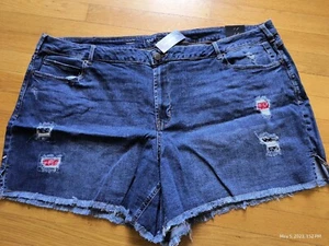 Pantaloncini jeans donna Lane Bryant taglie forti 28 denim ragazza pantaloncini paisley nuovi con etichette - Foto 1 di 6