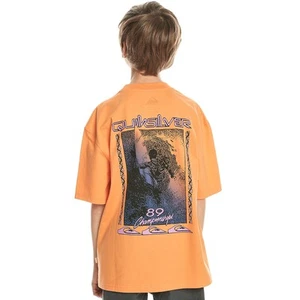 Quiksilver Kids Back Flash Short Sleeve Crew Neck T-Shirt - Tangerine - 8 Yrs - Picture 1 of 2