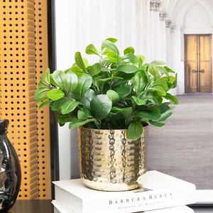 6 and 5-inch Modern Hammered Brass Metal Cylindrical Planter Vase, Set of 2 - Bild 1 von 8