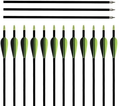 12pcs 32inch Fibreglass Arrows SP600 Arrows Archery Target Shooting Hunting - Image 1 of 4