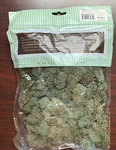 Reindeer Moss Basil 108.5 Cubic Inches - Picture 1 of 2