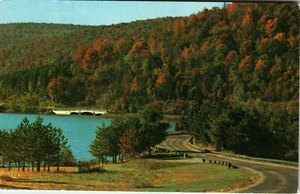 Postcard NY Road Bridge to Administration Building Red House Lake Allegany St Pk - Picture 1 of 2