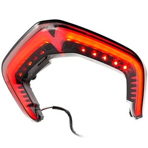 LED Rear Light Compatible With Ducati Panigale V4 R/V4 S Tinted - Picture 1 of 3
