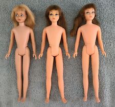 Vintage 1964-1969 Skipper Barbie Dolls, Brunette, Blonde, TNT - Lot of 3 (TLC)