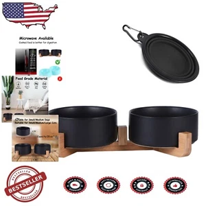 Contemporary Black Ceramic Pet Dish Set with Comfortable Elevated Wood Stand - Picture 1 of 9