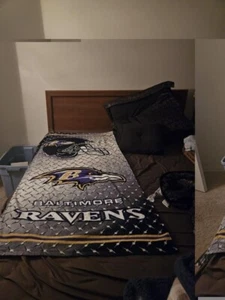 Balitmore Ravens Zone Beach Towel 30x60 Large Team Logo POOL BATH NIP Licensed - Picture 1 of 1