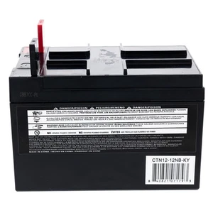 Ariens Gravely 04738800 12V 12A 190CCA Battery OEM Apex Ikon Zoom Pro-Turn Edge - Picture 1 of 4