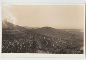 RPPC Puerto Rico Vieques Terrassen Hang Landwirtschaft 1920er - 1940er Postkarte - Bild 1 von 2