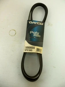 Cinturón serpentina Dayco Poly Rib 5060655 NUEVO - Imagen 1 de 4